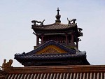 DSC09637.jpg