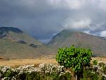 DSC00094.jpg