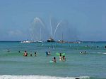 DSC09981.jpg