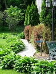 DSC03895.jpg