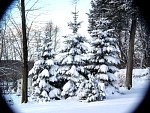 DSC02016.jpg