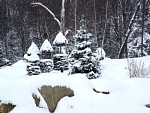 DSC02032.jpg