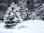 DSC02033.jpg