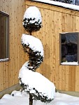 DSC02039.jpg