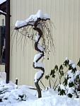 DSC02040.jpg