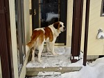 DSC02057.jpg