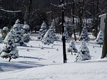 DSC02059.jpg