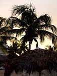 DSC05007.jpg