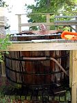 DSC05649.JPG
