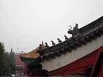 DSC00250.JPG
