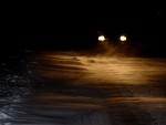 DSC02742.jpg