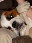 DSC02958.jpg