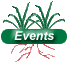 Events Navigational Button