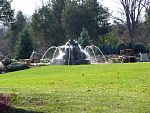 DSC08528.jpg