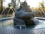 DSC08649.jpg