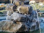 DSC08657.jpg