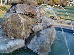 DSC08658.jpg