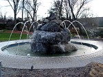 DSC01961.jpg