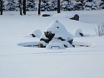 DSC02015.jpg