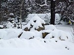 DSC02025.jpg