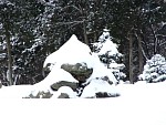 DSC02036.jpg