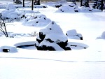 DSC02042.jpg