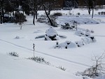 DSC02043.jpg