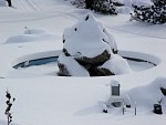 DSC02044.jpg