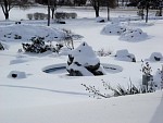 DSC02048.jpg