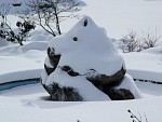 DSC02049.jpg