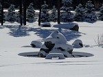 DSC02058.jpg