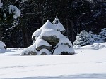 DSC02062.jpg