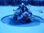 DSC03239.jpg