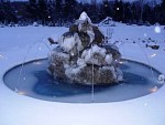 DSC03240.jpg