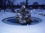 DSC03241.jpg