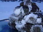 DSC03244.jpg