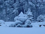 DSC03265.jpg