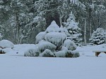 DSC03266.jpg