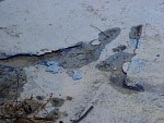 DSC09873.JPG