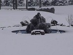 DSC03077.jpg