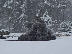 DSC03082.jpg