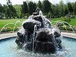 DSC03837.jpg