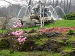 DSC03580.jpg