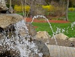 DSC03586.jpg