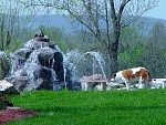 DSC03657.jpg