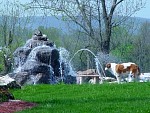 DSC03658.jpg