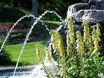DSC00400.JPG