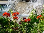 DSC00406.JPG