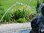 DSC00408.JPG