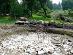 DSC00390.jpg